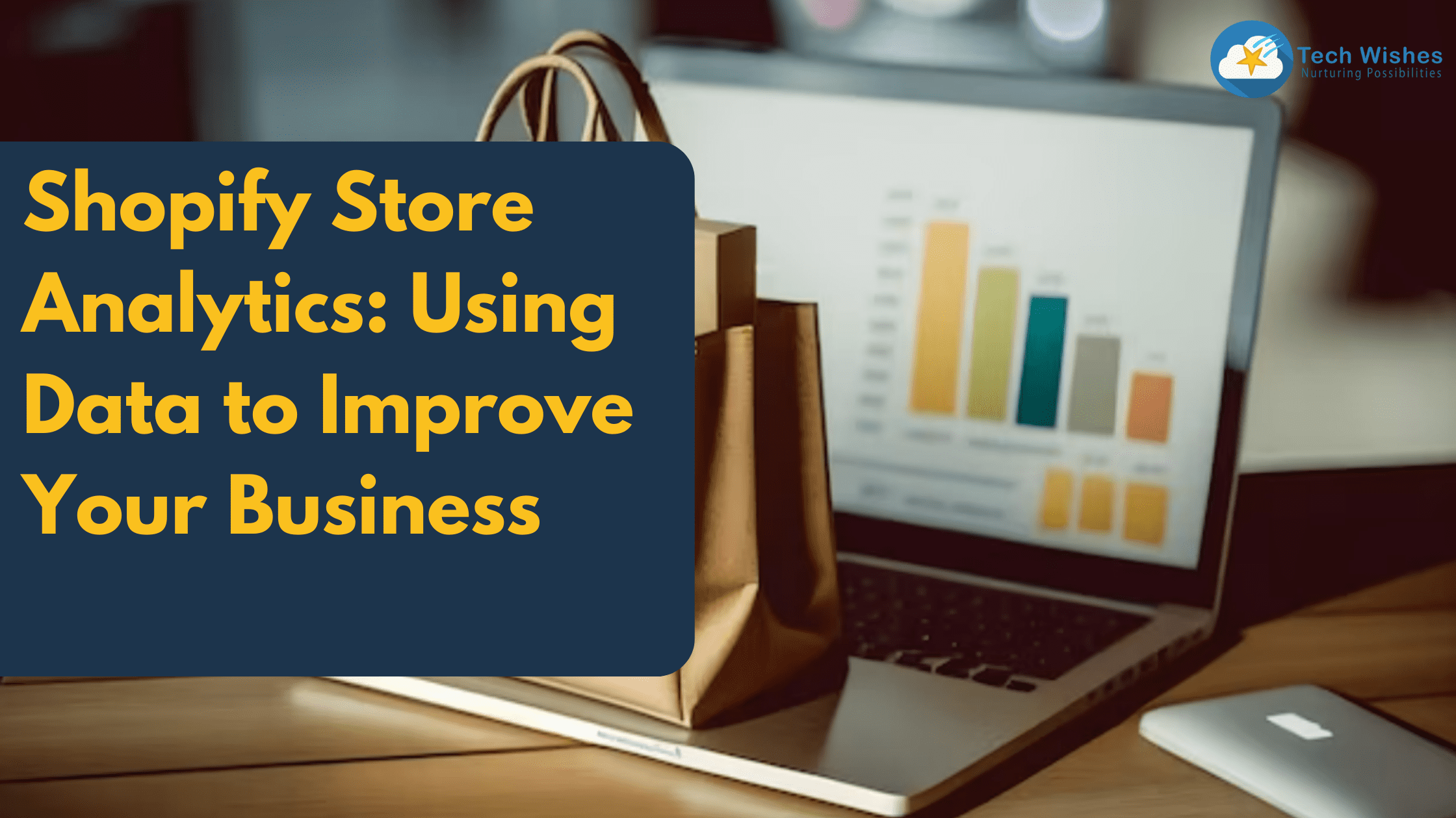 Shopify Store Analytics: Using Data to Improve Your Business