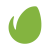Envato